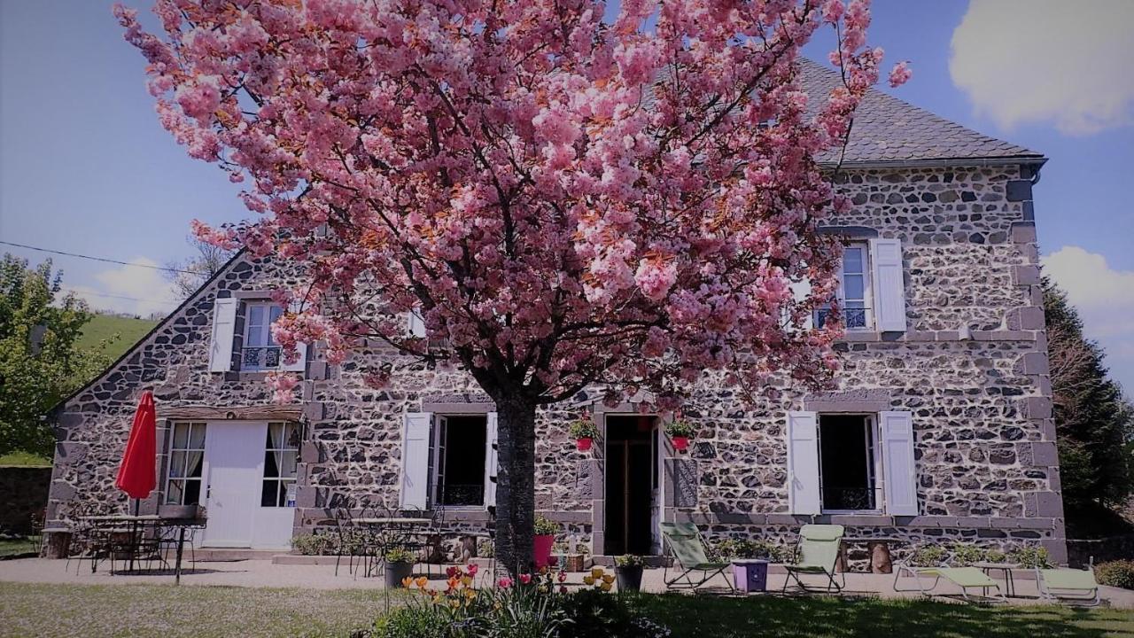 Maison d'Hôtes La Nichée Rochefort-Montagne Esterno foto